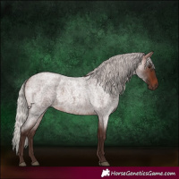 Horse Color:Silver Brown Roan 