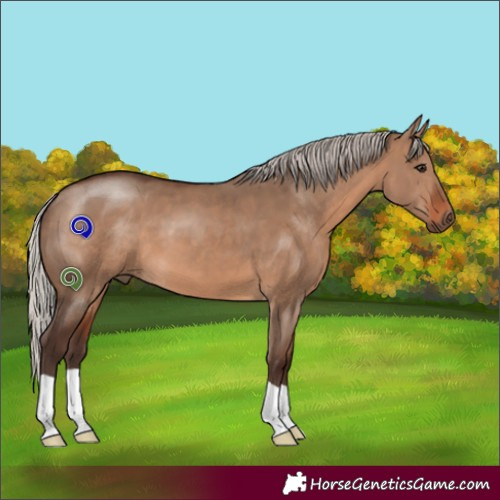 Horse Color:Silver Brown Dun 