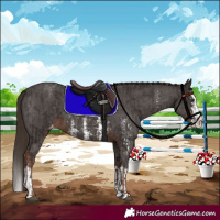 Horse Color:Liver Chestnut Sabino Splash Varnish and Liver Chestnut Sabino Splash Varnish