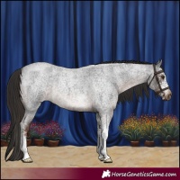 Horse Color:Liver Red Roan Sabino
