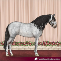 Horse Color:Liver Red Roan Sabino 