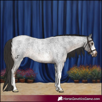 Horse Color:Liver Red Roan Sabino