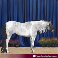 Horse Color:Brown Roan Tobiano
