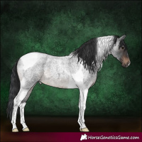 Horse Color:Brown Roan Tobiano 