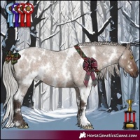 Horse Color:White Spotted Silver Grullo Roan Rabicano