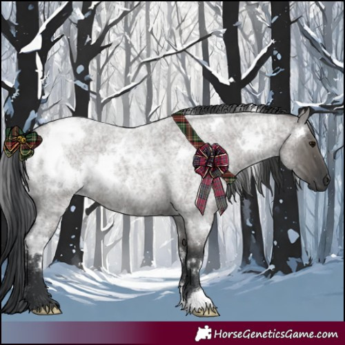 Horse Color:White Spotted Grullo Roan 