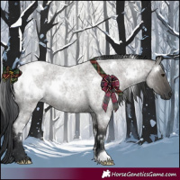Horse Color:White Spotted Grullo Roan 