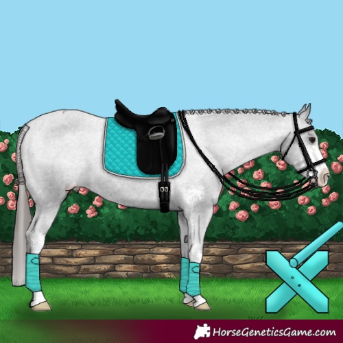 Horse Color:Black Sabino Varnish 