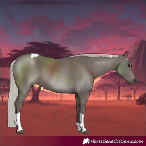 Horse Color:Silver Black Tobiano 