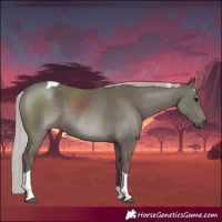 Horse Color:Silver Black Tobiano