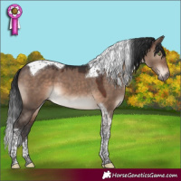 Horse Color:Brown Dun Mushroom Tobiano