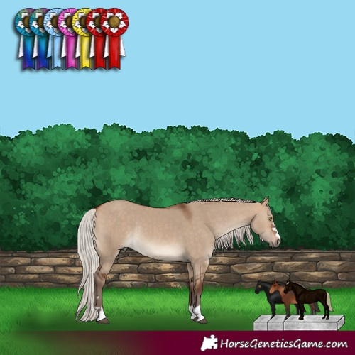 Horse Color:Silver Bay Dun Rabicano 