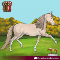 Horse Color:White Spotted Perlino 