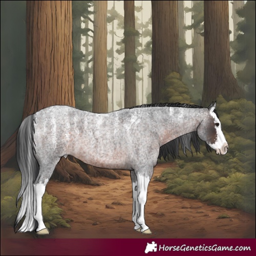 Horse Color:Powder White Brown Roan Splash 