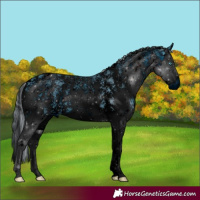 Horse Color:ERROR: UNKNOWN ANOMALY