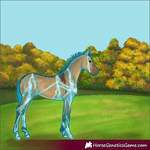 Horse Color:Thunderstruck Brown Dun 