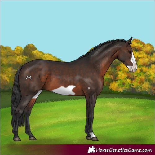 Horse Color:Brown Frame