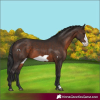 Horse Color:Brown Frame 