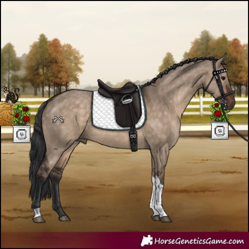 Horse Color:Brown Dun Tobiano Rabicano 