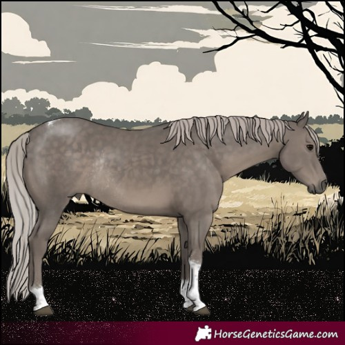 Horse Color:Silver Black Tobiano Rabicano 