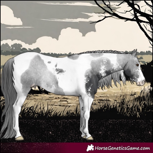 Horse Color:Black Sabino Tobiano Varnish 