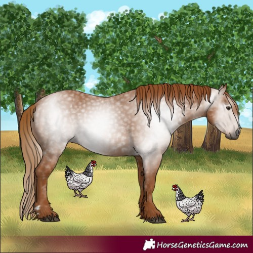 Horse Color:Gray Chestnut 