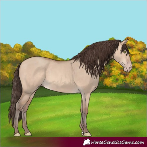 Horse Color:Amber Champagne Dun