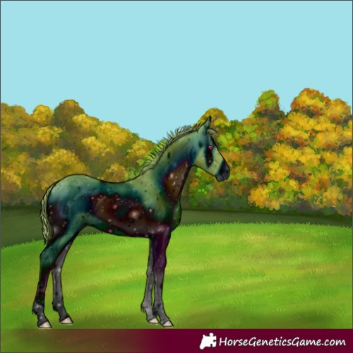 Horse Color:ERROR: UNKNOWN ANOMALY