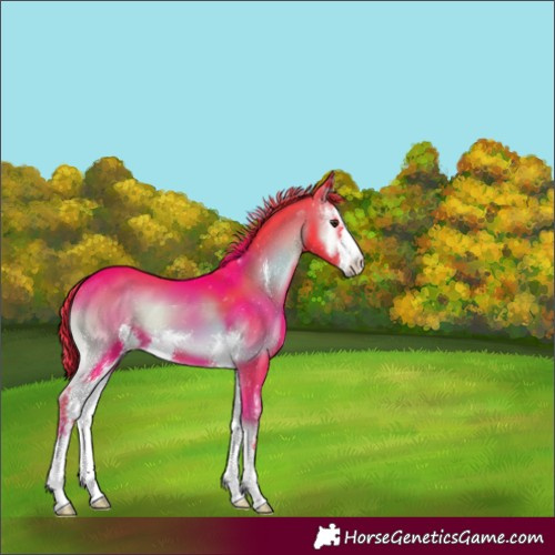 Horse Color:Watercolor Liver Red Onyx Sabino 