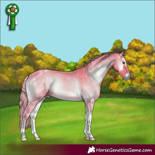 Horse Color:Watercolor Red Onyx 