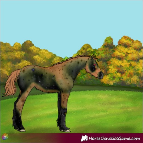 Horse Color:ERROR: UNKNOWN ANOMALY