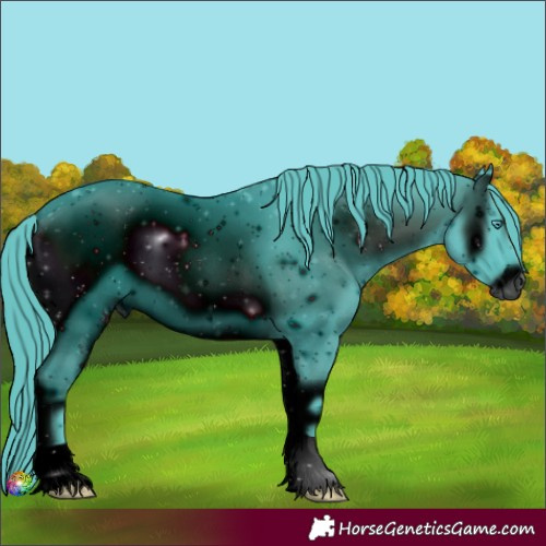 Horse Color:ERROR: UNKNOWN ANOMALY