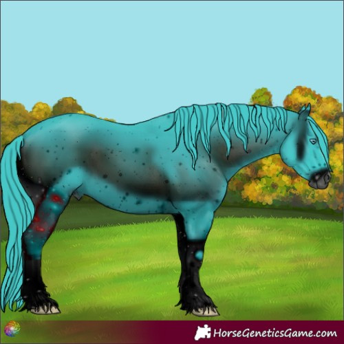 Horse Color:ERROR: UNKNOWN ANOMALY