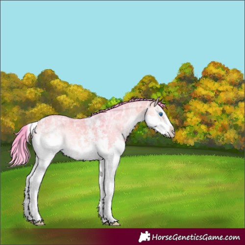Horse Color:Watercolor Chocolate Bay Ice Onyx Sabino Splash 