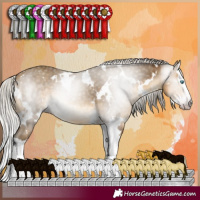 Horse Color:Gray White Spotted Silver Sable Cream Champagne Splash