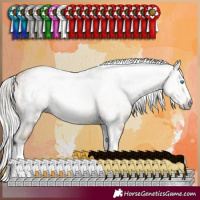 Horse Color:Gray White Spotted Silver Sable Cream Champagne Splash 