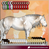 Horse Color:Gray White Spotted Silver Sable Cream Champagne Splash 