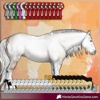 Horse Color:Gray White Spotted Silver Sable Cream Champagne Splash 