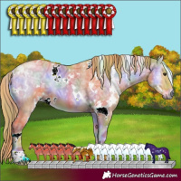 Horse Color:Nacre Watercolor White Spotted Red Onyx Ice