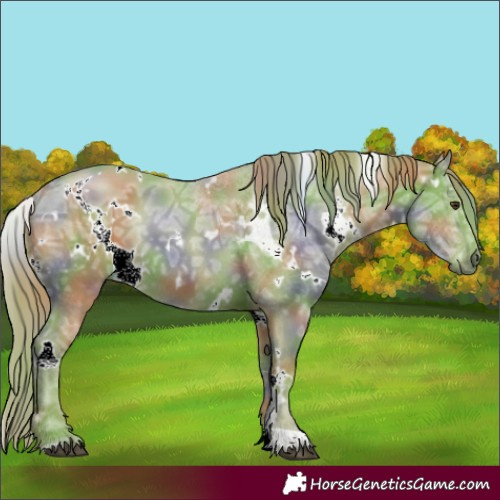 Horse Color:Nacre Watercolor White Spotted Liver Chestnut Ice 