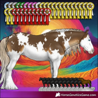 Horse Color:White Spotted Chocolate Palomino Mushroom Splash 