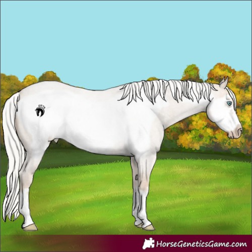 Horse Color:Silver Smoky Creme Roan Frame 
