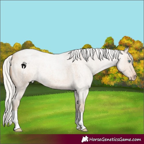Horse Color:Silver Smoky Creme Roan