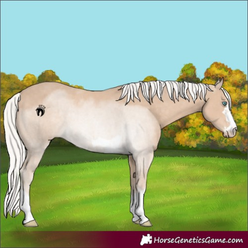 Horse Color:Silver Smoky Creme 