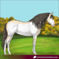 Horse Color:Amber Cream Champagne Frame 