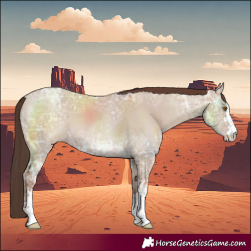 Horse Color:Classic Champagne Ice Dun 