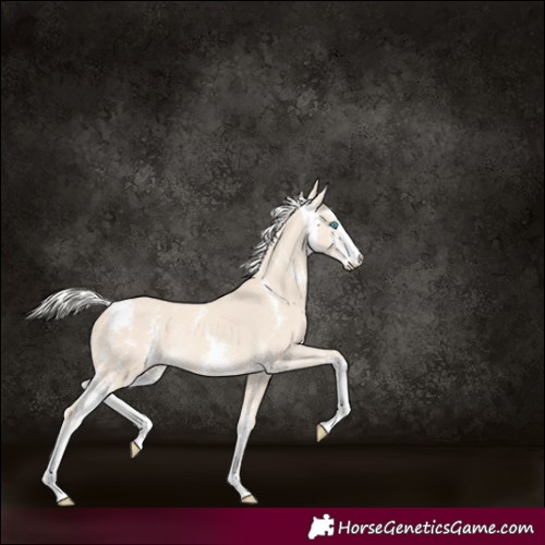 Horse Color:Cremello Sabino Rabicano 