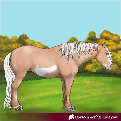 Horse Color:Silver Amber Champagne Frame 