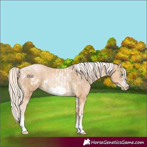 Horse Color:Chocolate Palomino Pearl Tobiano Frame and Palomino Pearl Tobiano Frame