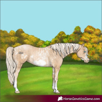 Horse Color:Chocolate Palomino Pearl Tobiano Frame and Palomino Pearl Tobiano Frame